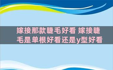 嫁接那款睫毛好看 嫁接睫毛是单根好看还是y型好看